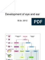 Development of Eye and Ear