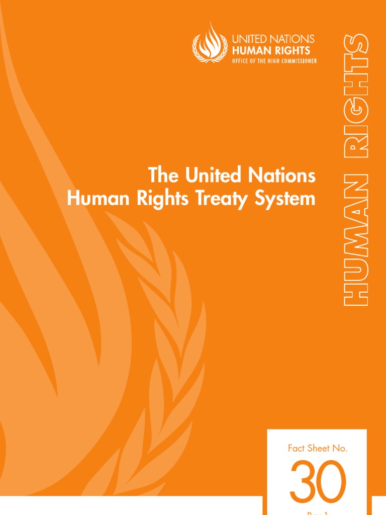 The United Nations Human Rights Treaty System | PDF