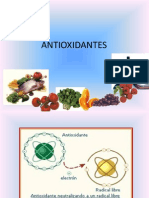 Exposicion capacidad antioxidante