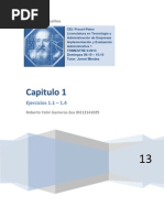Download Cap 1 Ejercicios by Robert Zea SN138268525 doc pdf