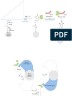 Biosinteisi de Lipidos