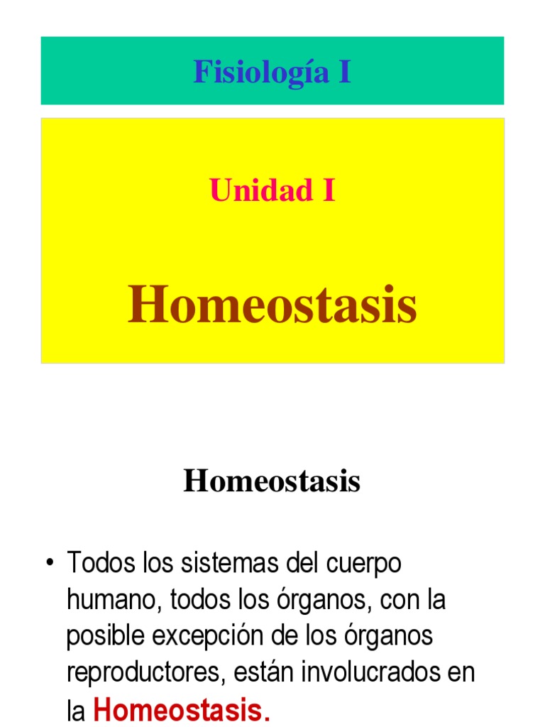 Homeostasis | Kidney | Urine