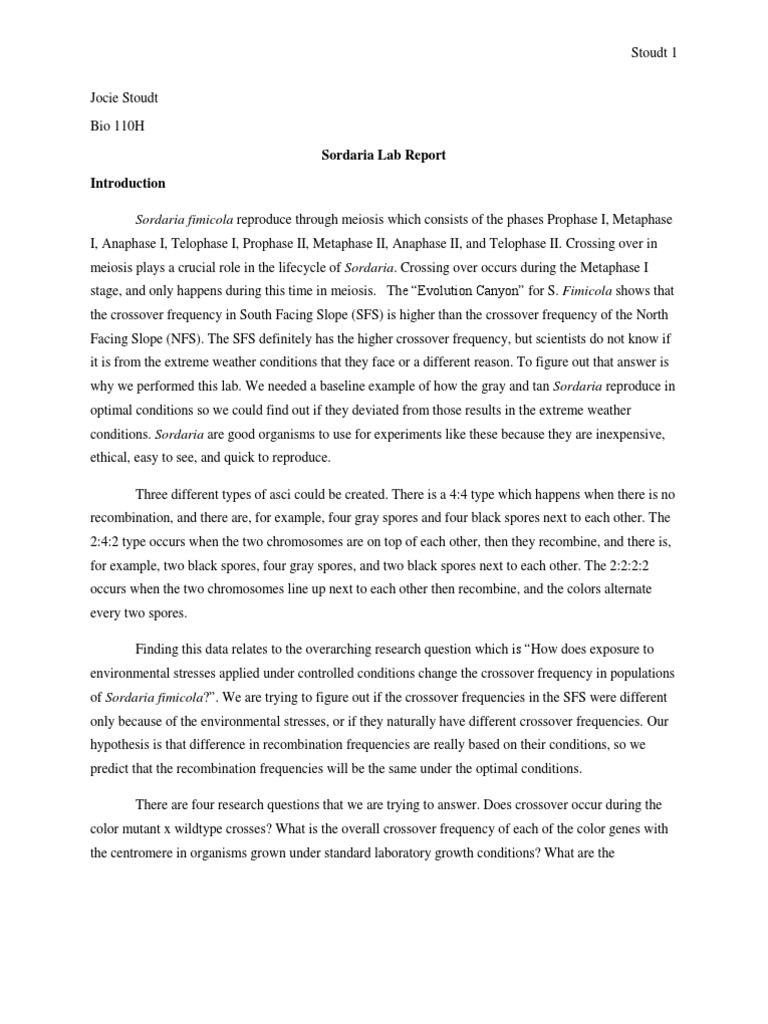 Sordaria lab report picture