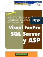 Visual FoxPro SQL Server y ASP - Programación Multiusuario