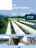 Pipe Network PDF