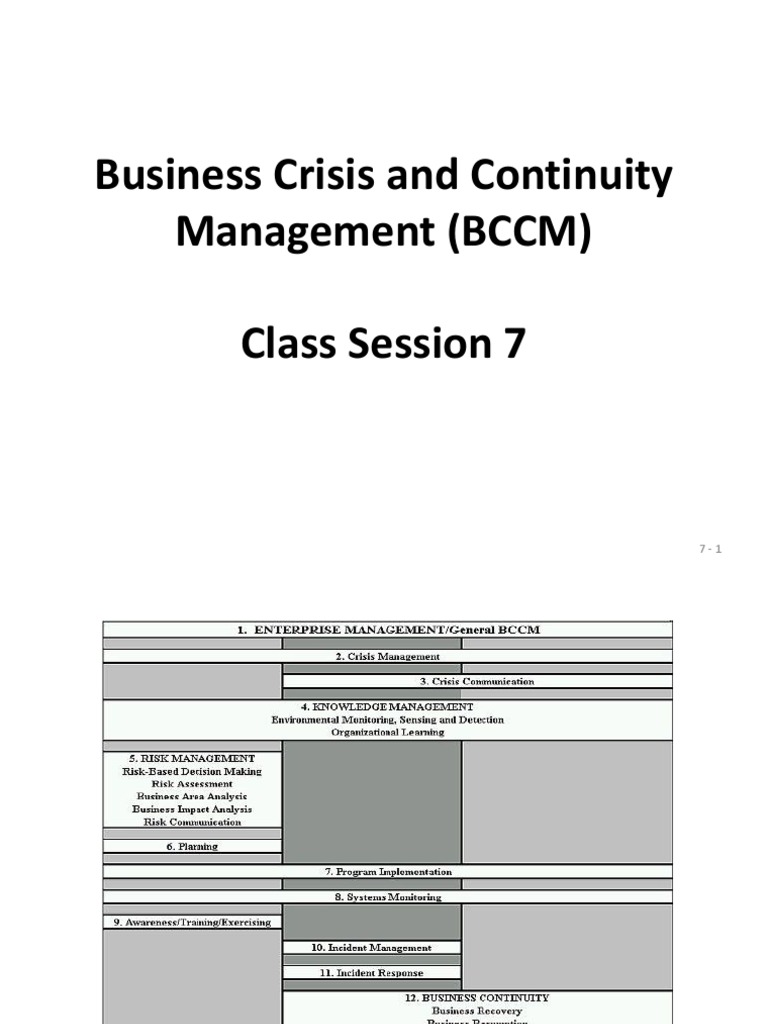 BCCM - Session 7 - Power Point | PDF