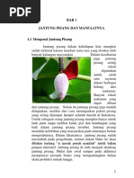 Download Berbisnis Dengan Jantung Pisang I Rischa a Fathiya 115100507111004dan Raj Nura Irma 115100800111018 FTPthpKelas I by Christina Dewi SN138314298 doc pdf