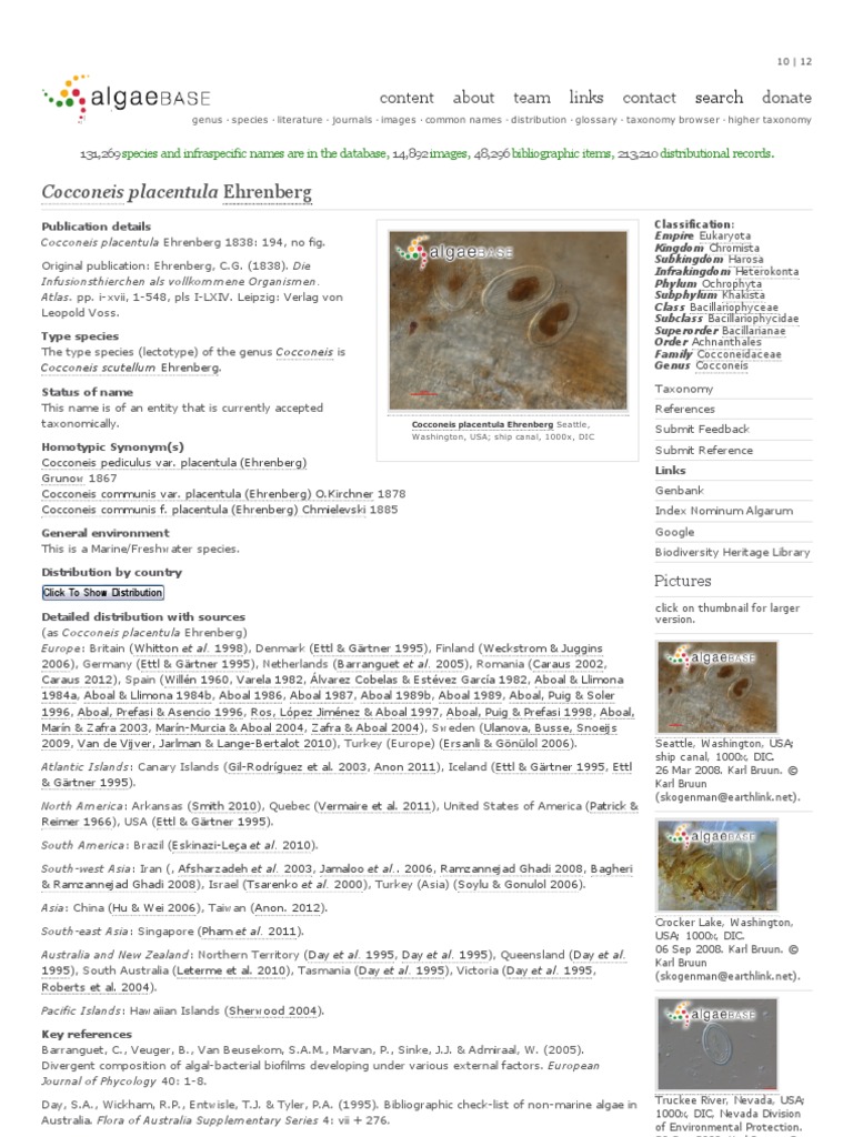Cocconeis Placentula Ehrenberg - Algaebase | PDF | Taxonomy (Biology ...