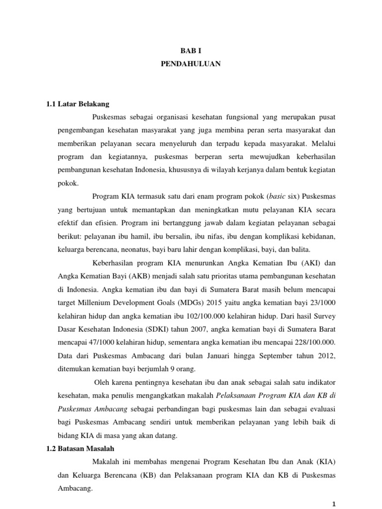 Program KIA KB Puskesmas