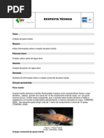 SBRTCriação de peixe trairão
