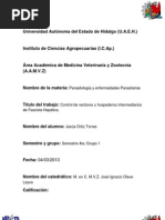 Download Vector de Fasciola Heptica by heartagram043011 SN138347432 doc pdf