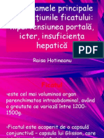94972859-3-Hepatite-ppt