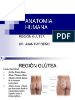 Clase 6 - Anatomia Humana