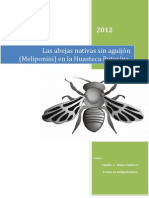 Manual Meliponicultura