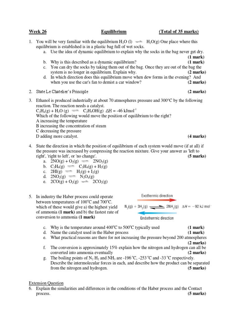 Understanding Dynamic Equilibrium Concepts | PDF