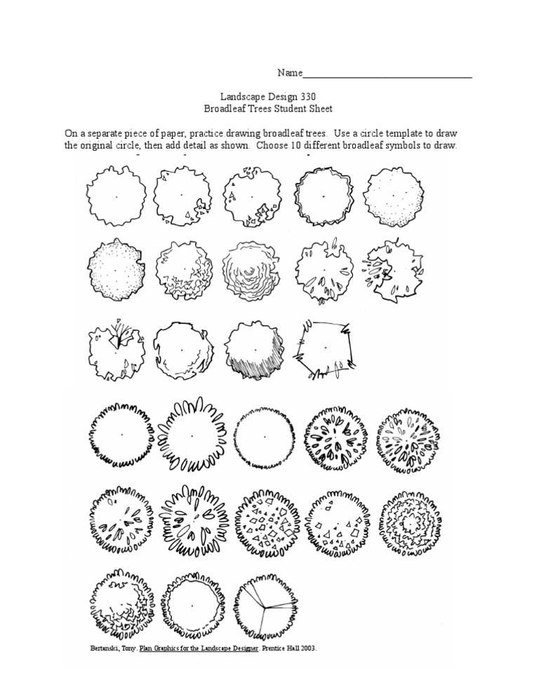 Broadleaf Tree Drawing Practice Sheet | PDF