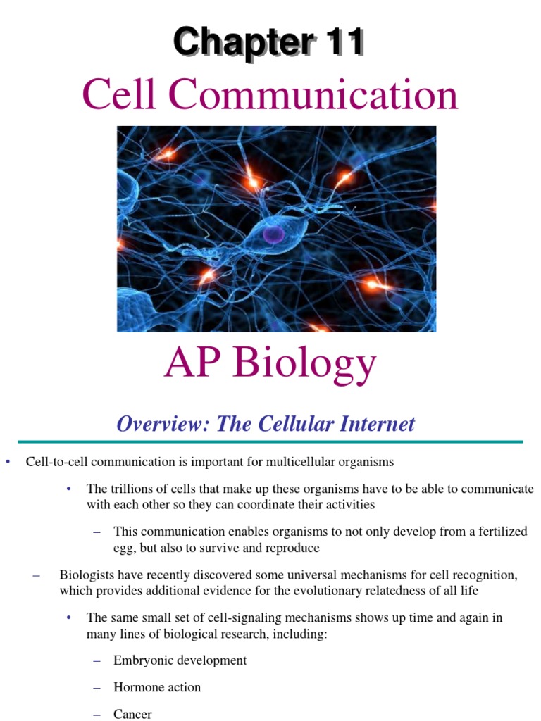 AP Bio Ch. 11 Cell Communication Cell Signaling Signal Transduction