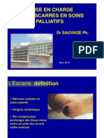 Soins Palliatifs Et Escarre