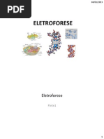 Eletroforese 2013 Parte1