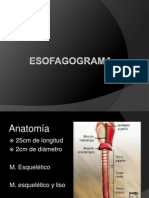 Anatomía y patología del esófago y estómago