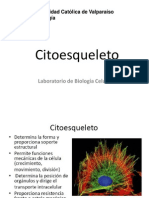 Lab 5 Citoesqueleto I Fluorescencia