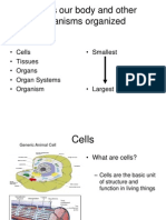 16 1 how is our body and other organisms organized