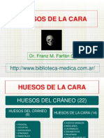 Huesos de La Cara PDF