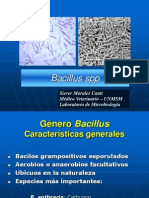 Bacillus SPP