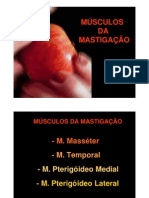 Mod3 Musculos Mastigacao