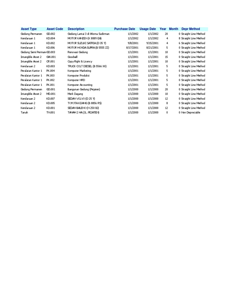 Asset Type Asset Code Description Purchase Date Usage Date Year Month ...