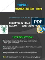 Sugar Fermentation Test