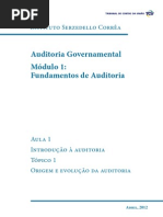 Semana 1 - Texto - Origem e Evolução da Auditoria