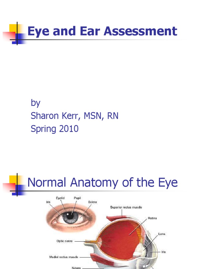 Eye Ear Assess Human Eye Ear