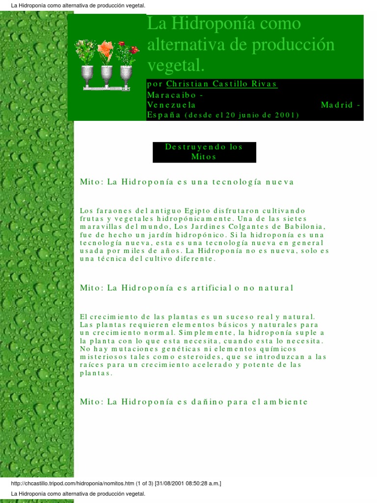 Definicion De Hidroponia