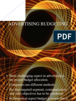 Advertising Budgeting12