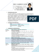 Curriculum Vitae - WFCC Caritas 2012