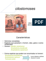 Ancilostomoses: características, ciclo de vida e tratamento