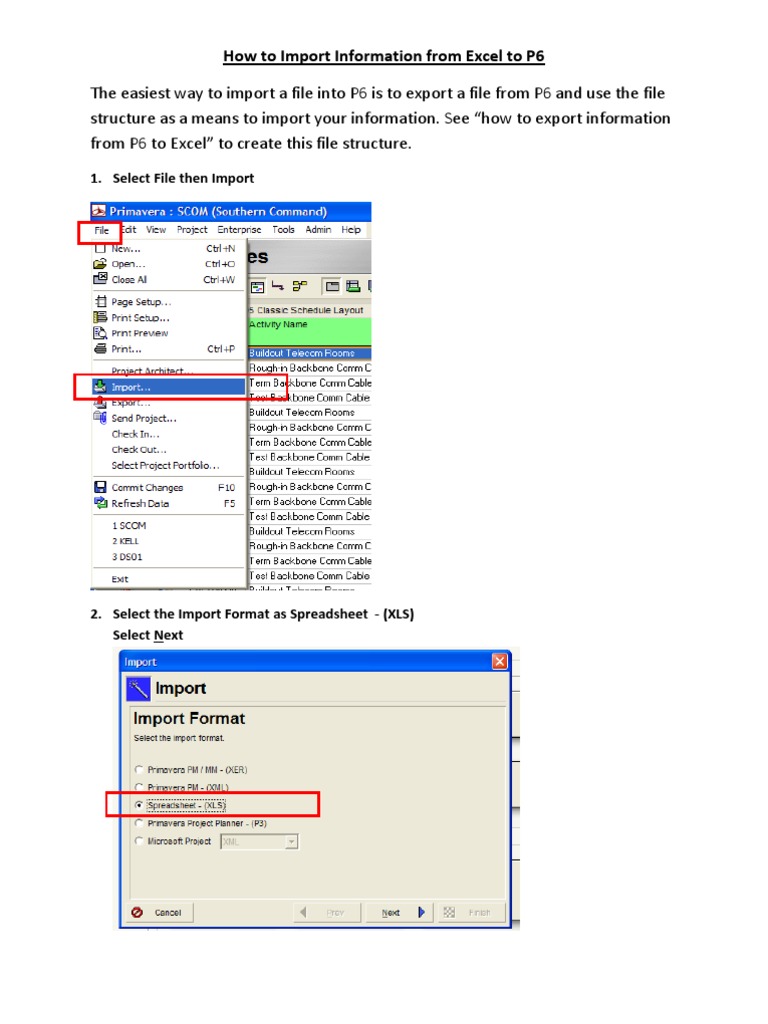Import Excel Data into P6 Guide | PDF