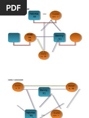 Family Genogram