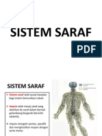 Kumpulan 5 - Sistem Saraf