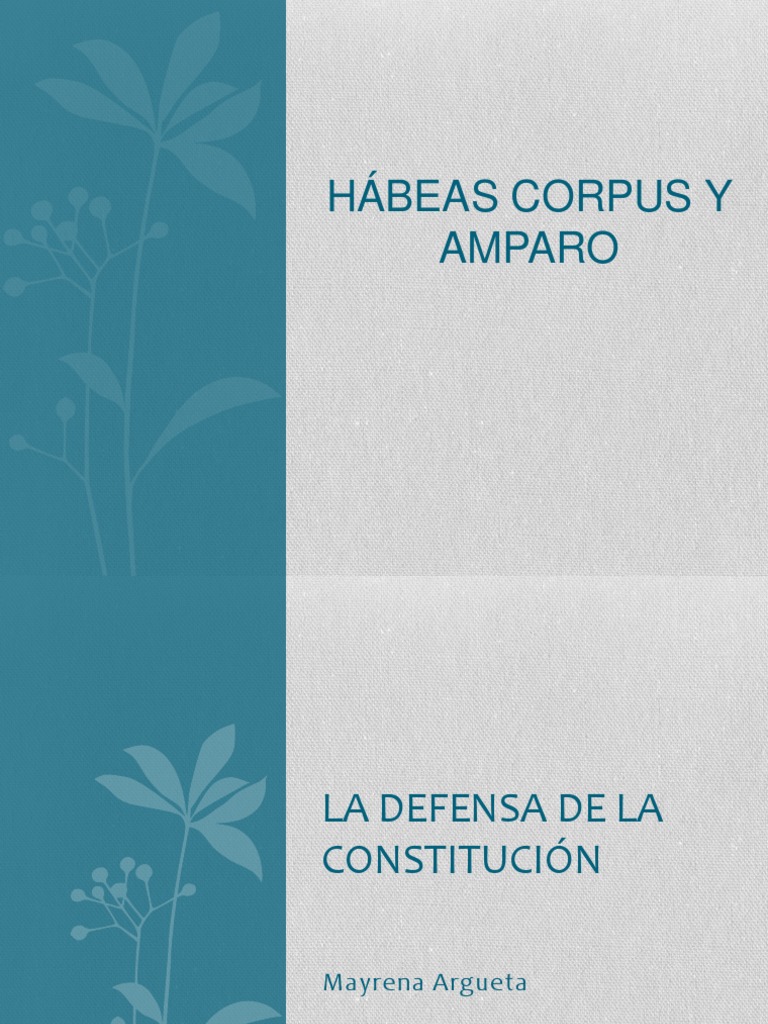 Amparo y Habeas Corpus en El Salvador | PDF | Habeas corpus | Derecho ...