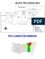 Peta Kabupaten Bireuen