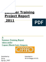 Summer Training Project Report 2011