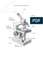 Partes Del Microscopio Óptico