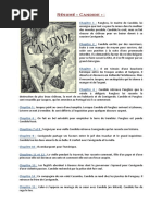 Download RsumdeCandidedescriptiondespersosmoralebyBeatriceFlorinSN13850592 doc pdf