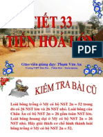 Tiet 33 Tien Hoa Lon