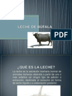 Leche de Bufala (1) Completa