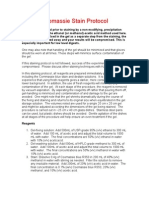 Coomassie Stain Protocol