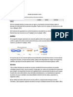 Prueba 2 Ciclo