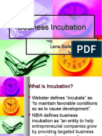 businessincubationpowerpoint-100315213322-phpapp02